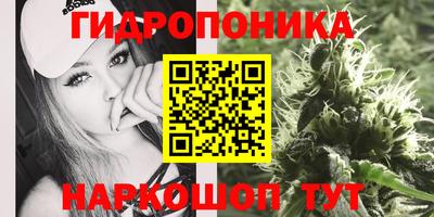 сатива Кумертау