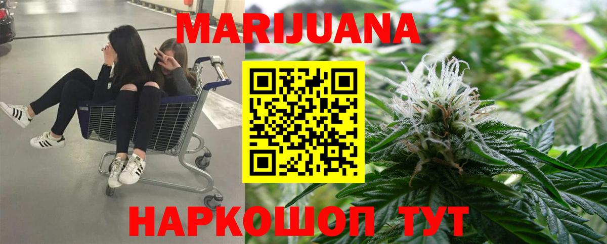 Конопля гибрид  Волжский  Бошки марихуана Ganja 